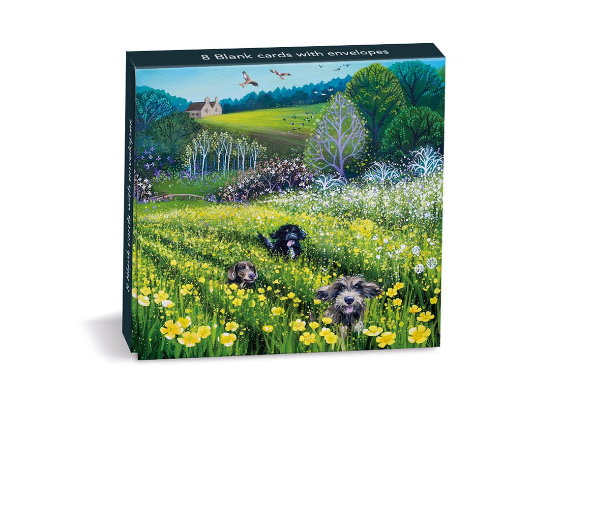 Anne Marie Dahlstrom Field of Dreams Mini Notecards Wallet