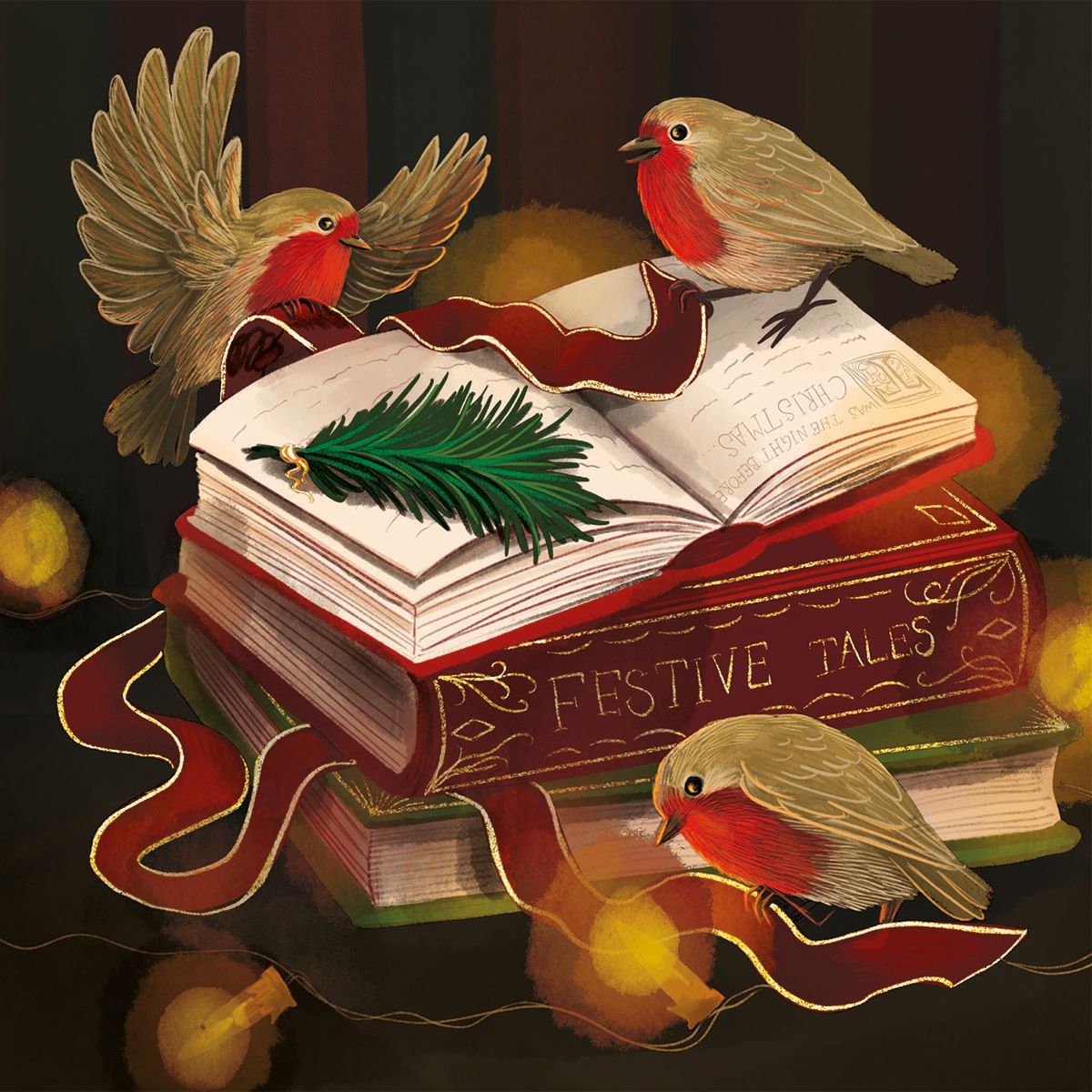 Anne Stead Robins Reading Christmas Card Pack