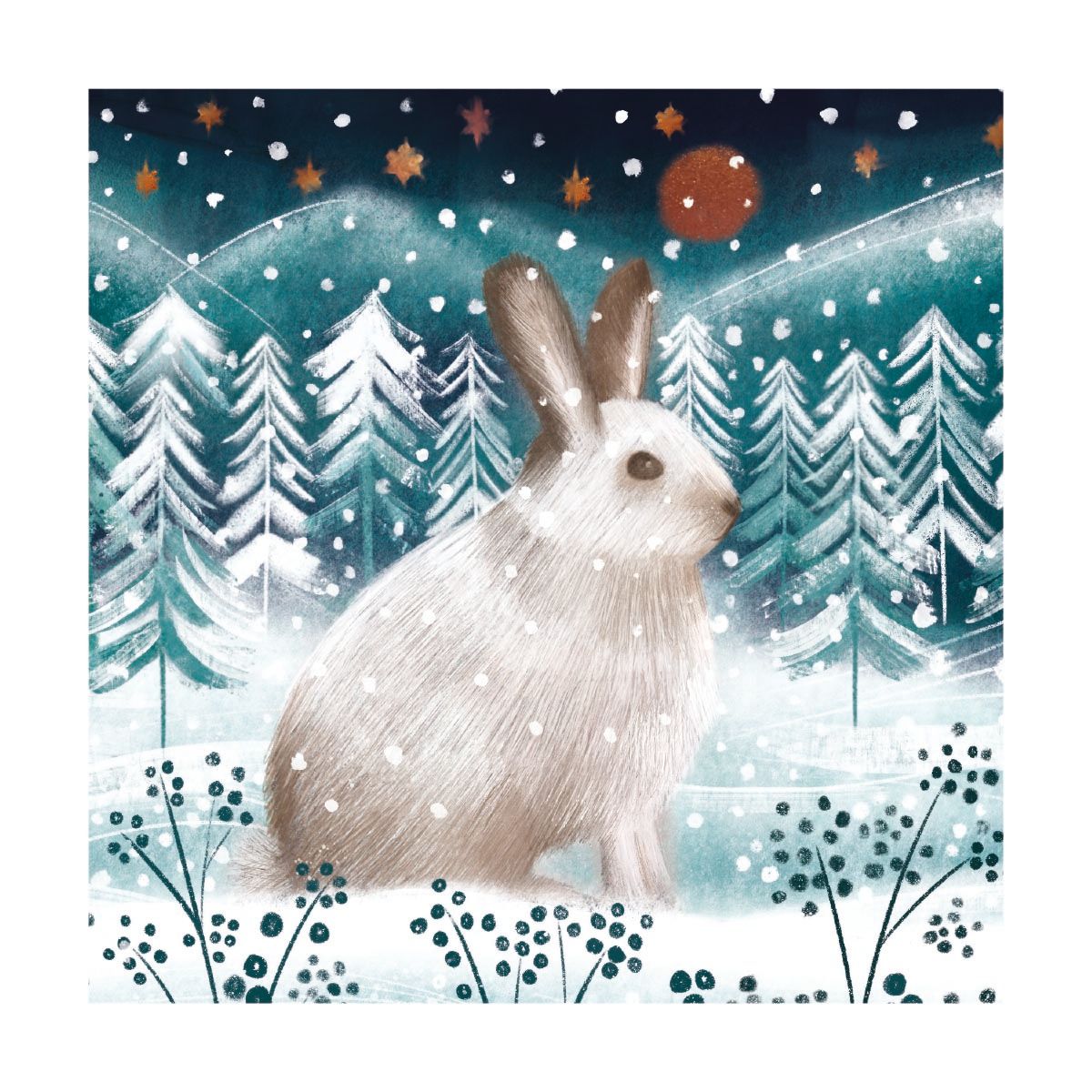 Catherine Worsley Arctic Hare Christmas Card Pack