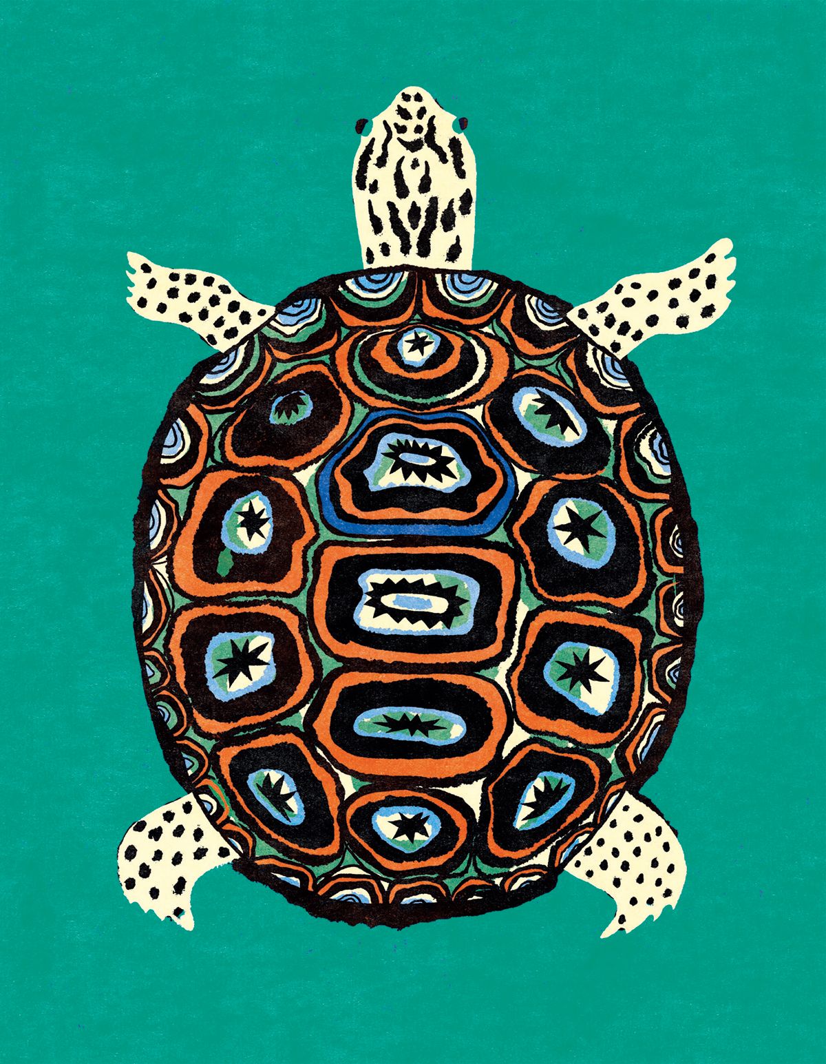 Enikő Eged Sea Turtle Greeting Card