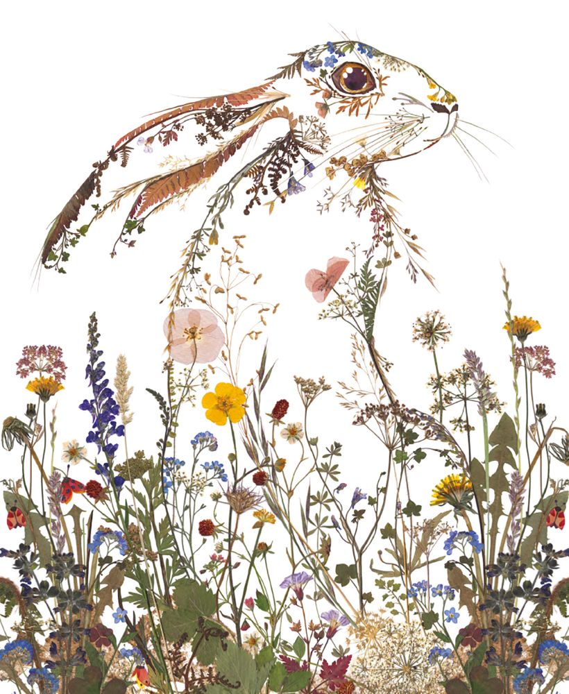 Helen Ahpornsiri Wildflower Hare Art Card