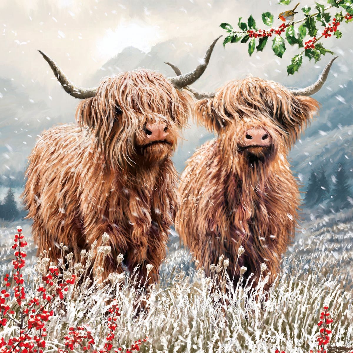 Ian Saxton Highland Cattle Christmas Card Pack