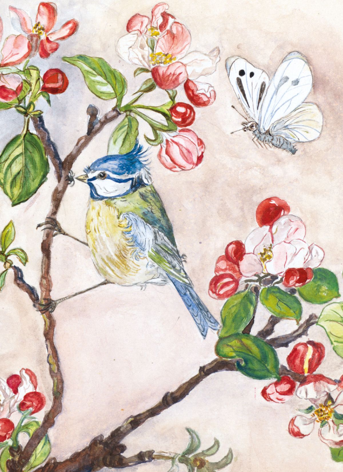 Ithell Colquhoun Flowers (Watercolour) Art Card