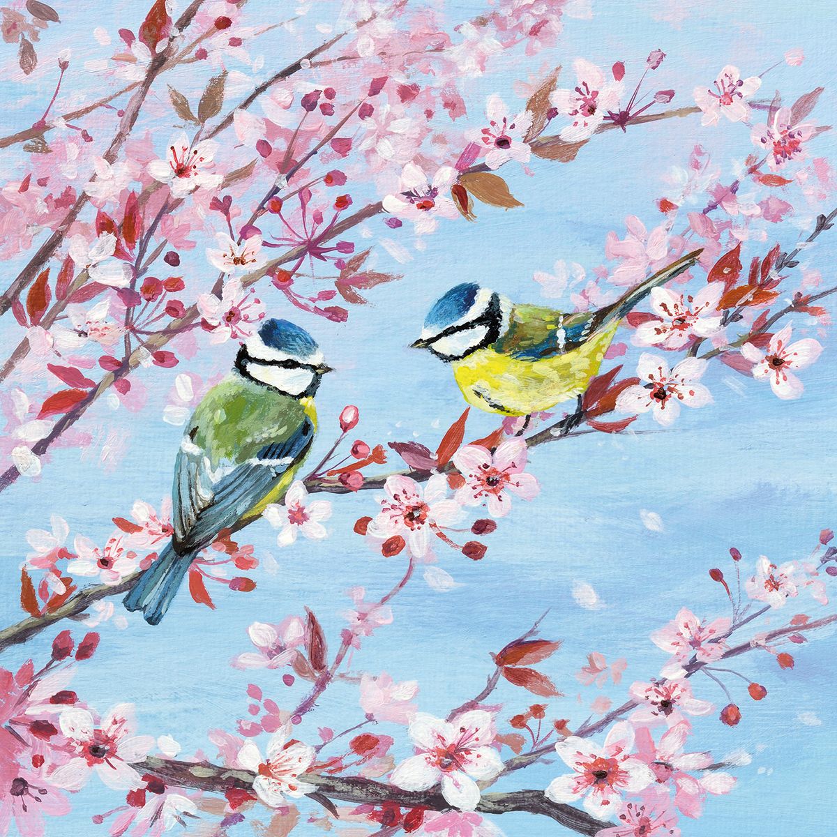 Lucy Grossmith Blossom and Blue Tits Art Card