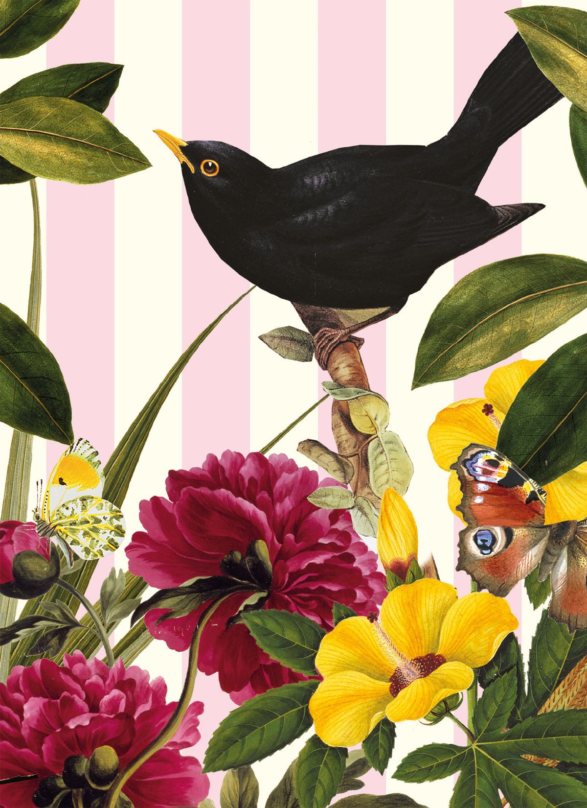 Natural History Museum Blackbird Art Card