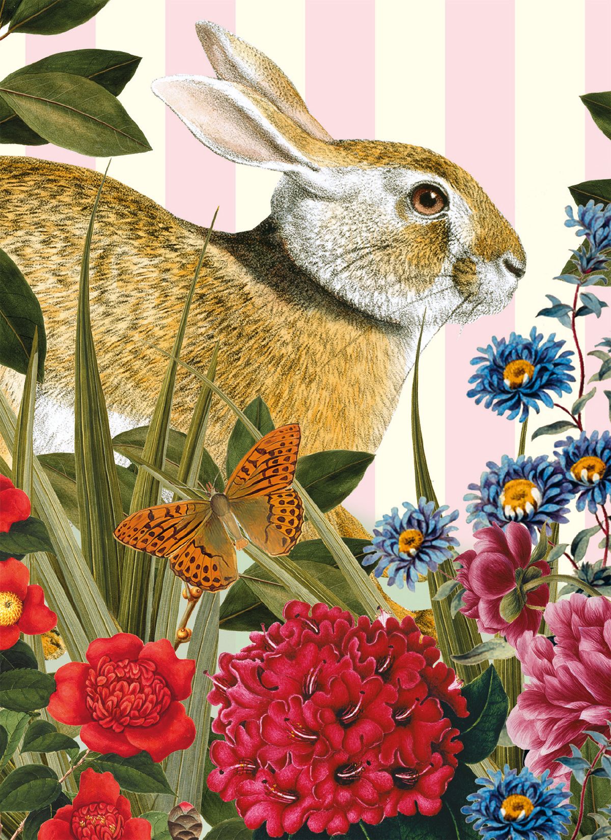 Natural History Museum Tolai Hare Art Card