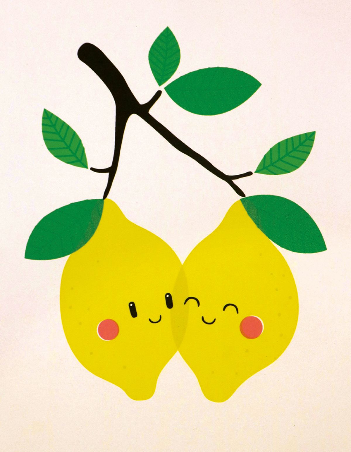 Stephen Shaw Zest Mates Greeting Card
