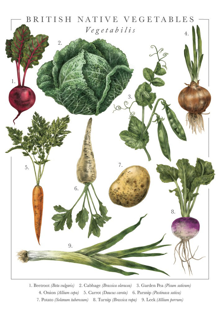 British Native Vegetables Nature's Pocketbook Card