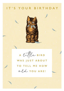 A Little Bird Rock On Card