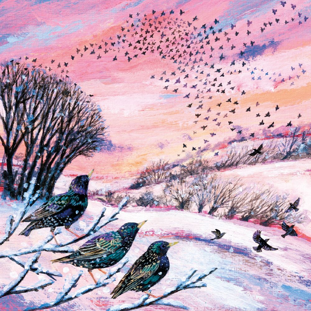 Lucy Grossmith Winter Murmurations Christmas Card Pack