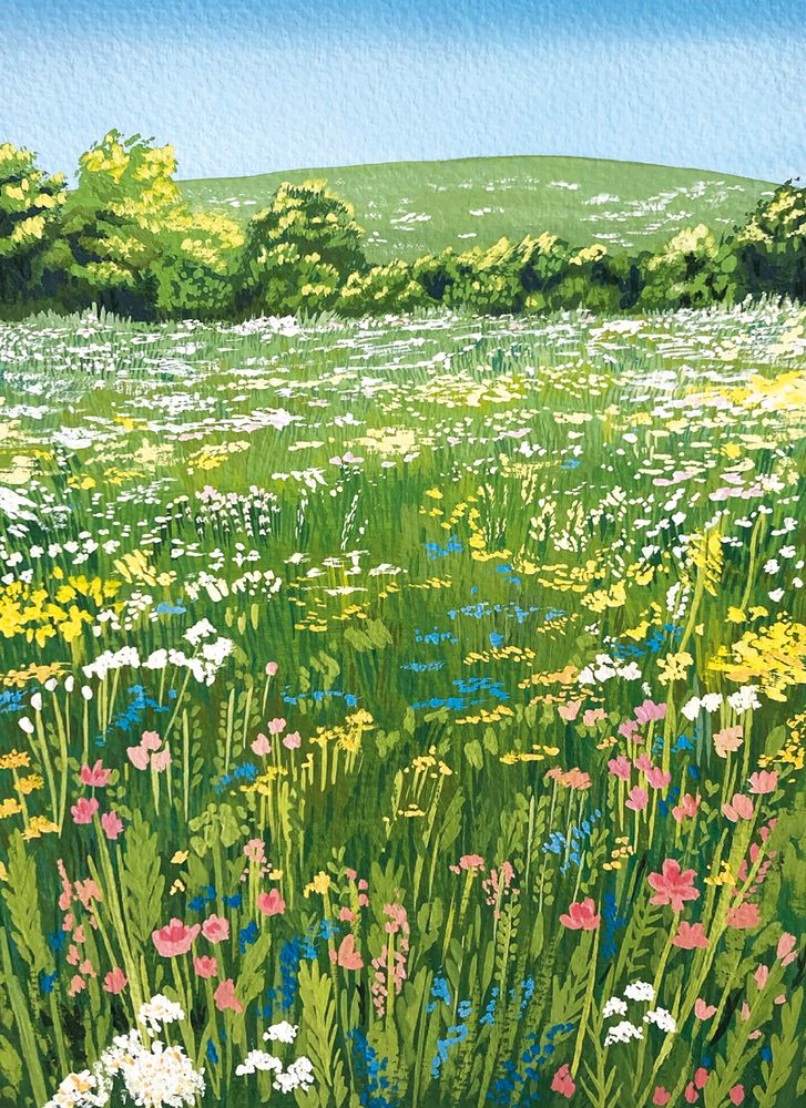 Natalie Smillie Wildflowers in Spring Art Card
