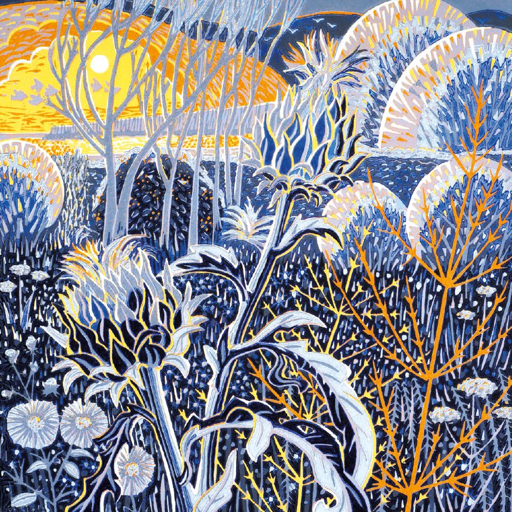 Annie Soudain Winter Garden Christmas Card Pack