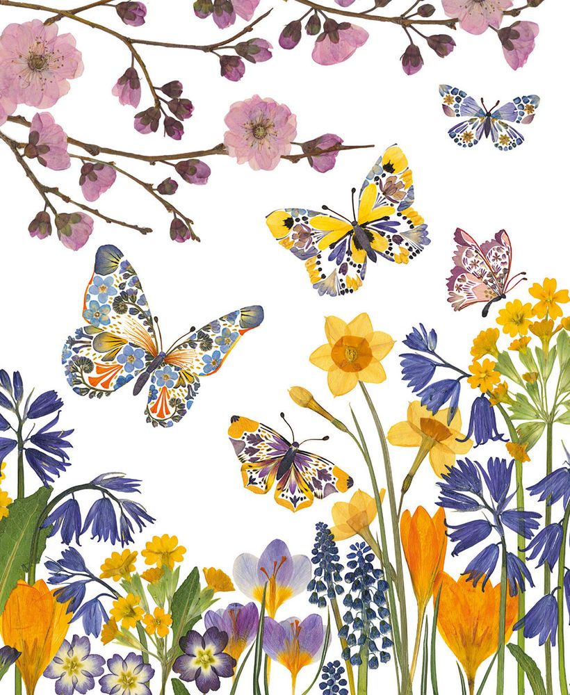 Helen Ahpornsiri Butterfly Meadow Art Card