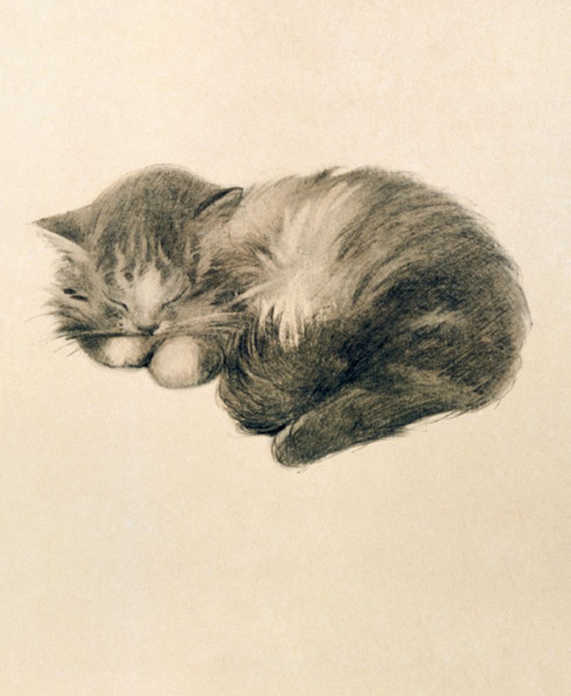 Oliver Herford Persian Kitten Art Card