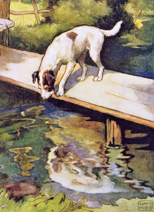 John Edwin Noble The Dog and the Shadow Art Card