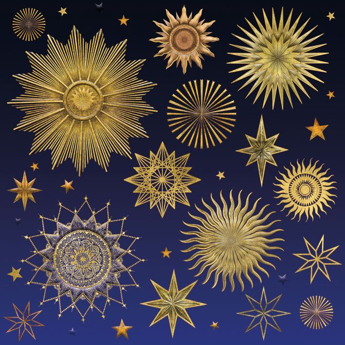 Matthew Williamson Stardust Art Card
