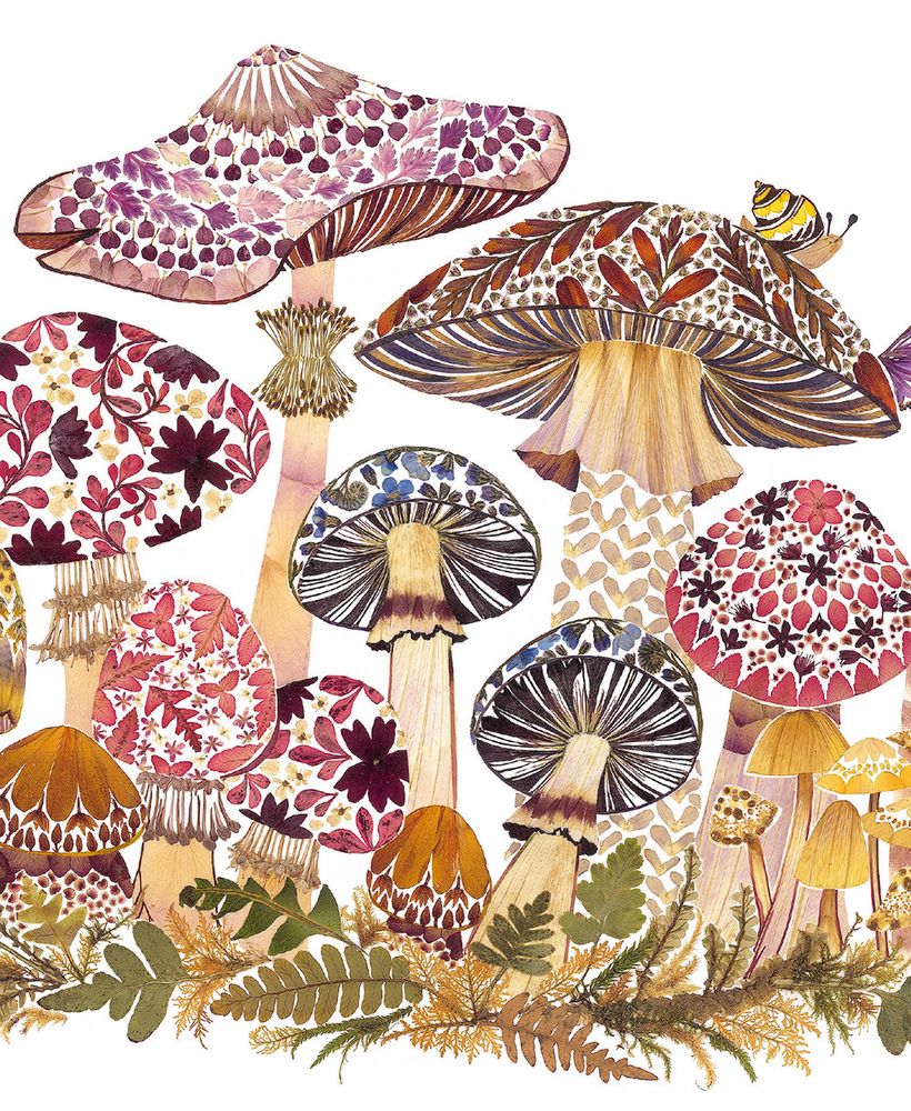 Helen Ahpornsiri Fabulous Funghi Art Card