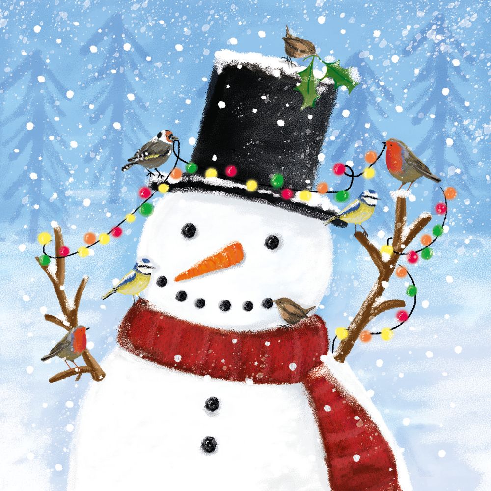 Museums & Galleries Ltd Snowy Friends Christmas Card Pack