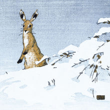 Allen W. Seaby Hare in Snow Christmas Card Pack