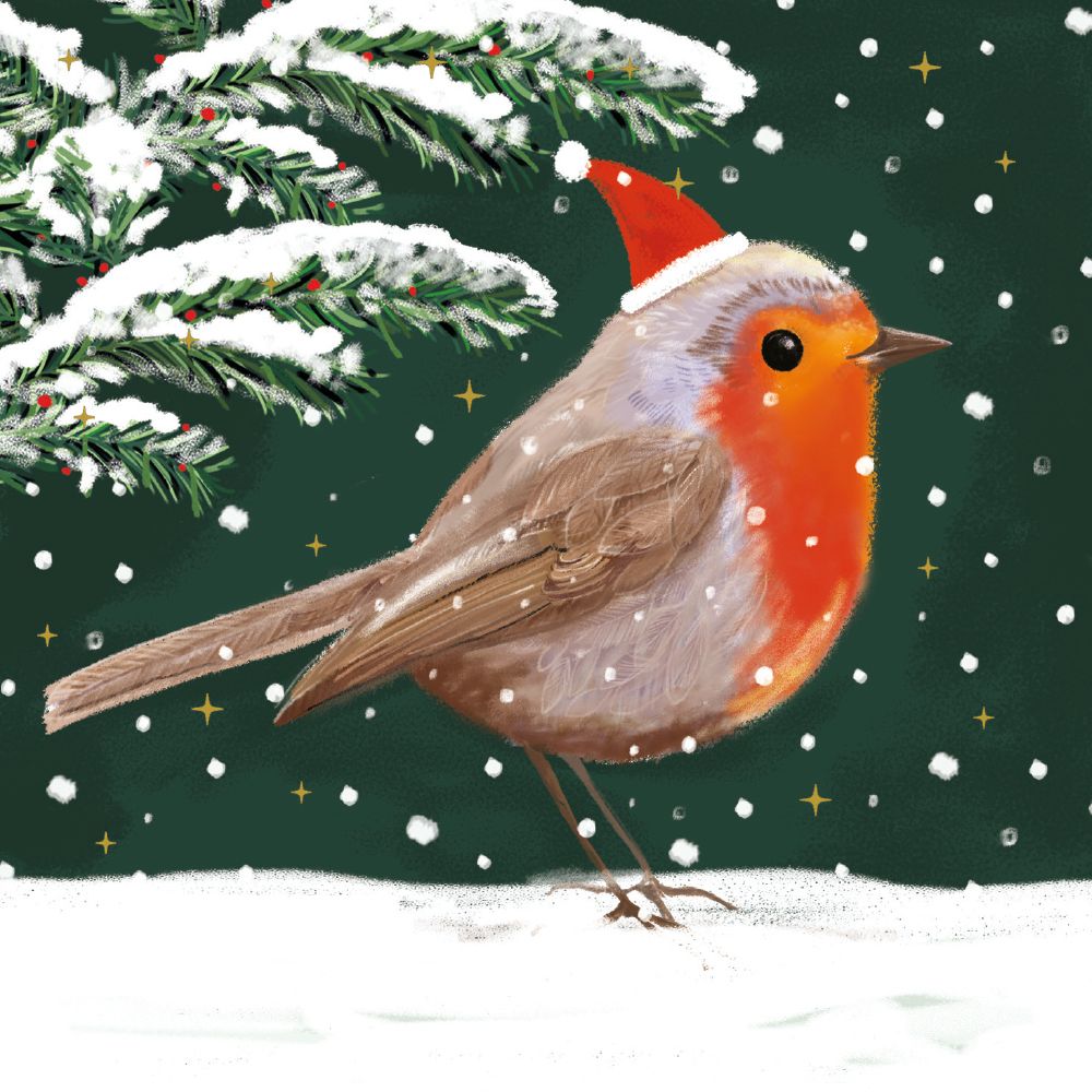 Museums & Galleries Ltd Festive Robin Christmas Card Pack