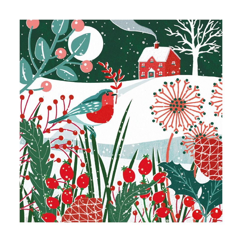 Jo Parry Moonlight Robin Christmas Card Pack