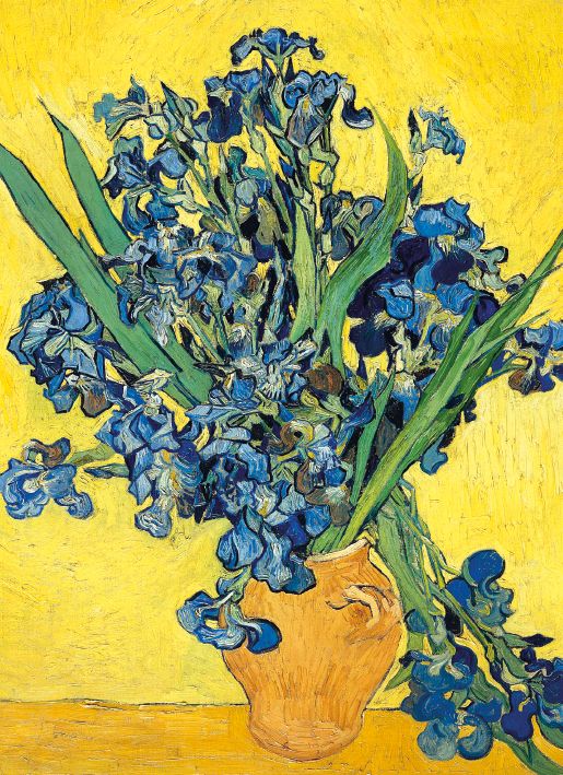 Vincent van Gogh Irises Art Card
