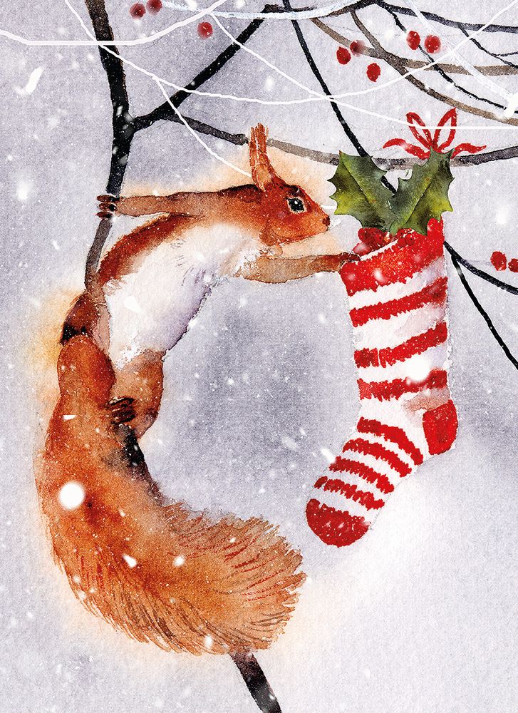 Rachel McNaughton Checking the Stocking Christmas Card Pack