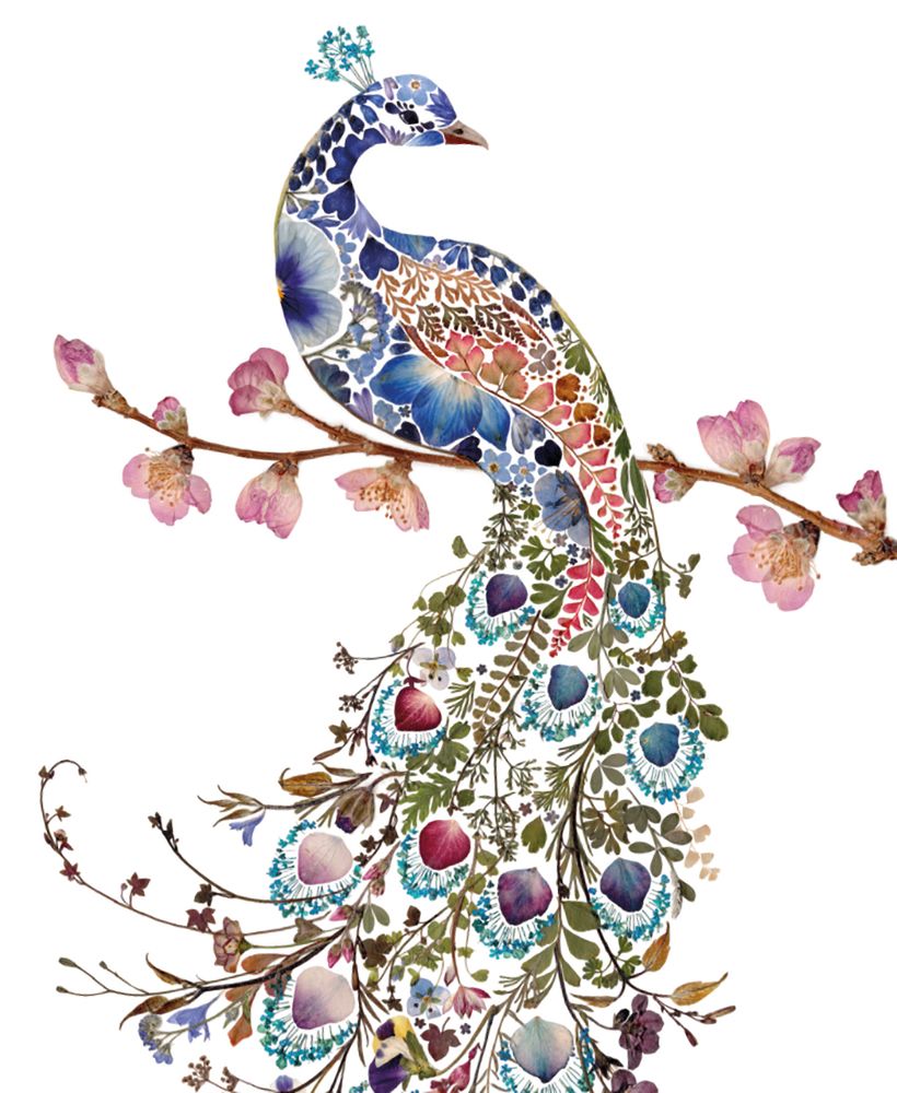 Helen Ahpornsiri Peacock Art Card