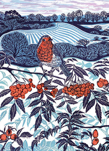 Claire Armitage Midwinter Robin Christmas Card Pack