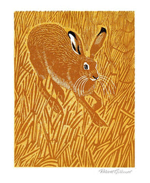 Robert Gillmor Stubble Hare Art Card