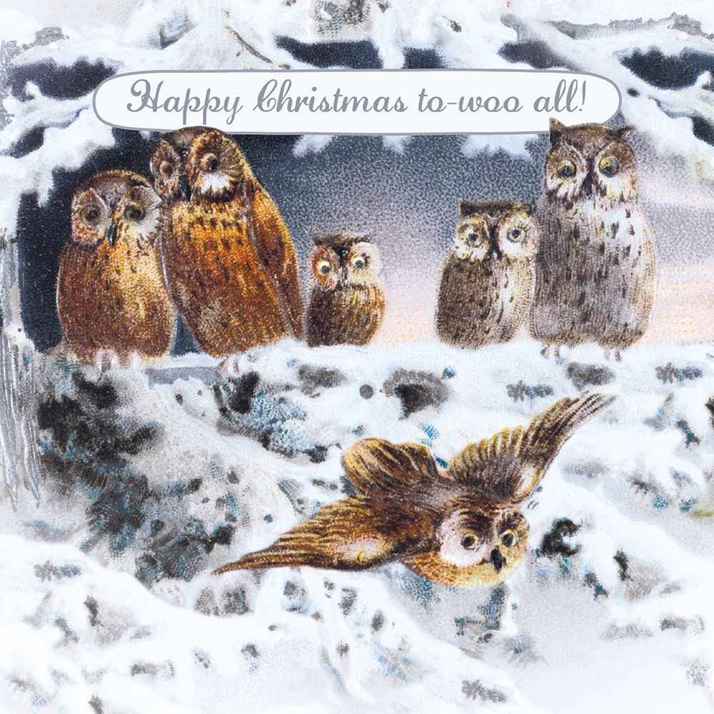 George Buday collection Owls Christmas Card Card