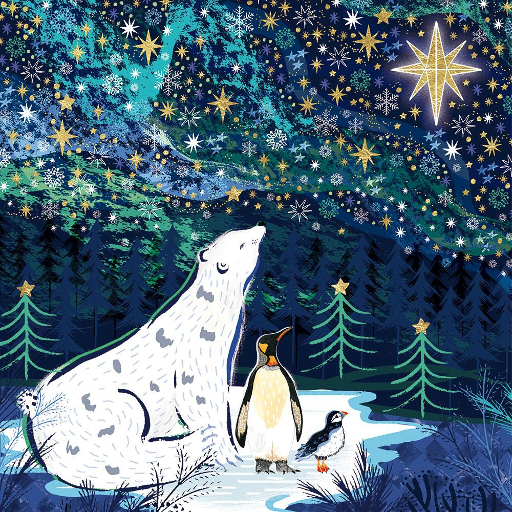 Emma Francis Grant The Stargazers Christmas Card Pack