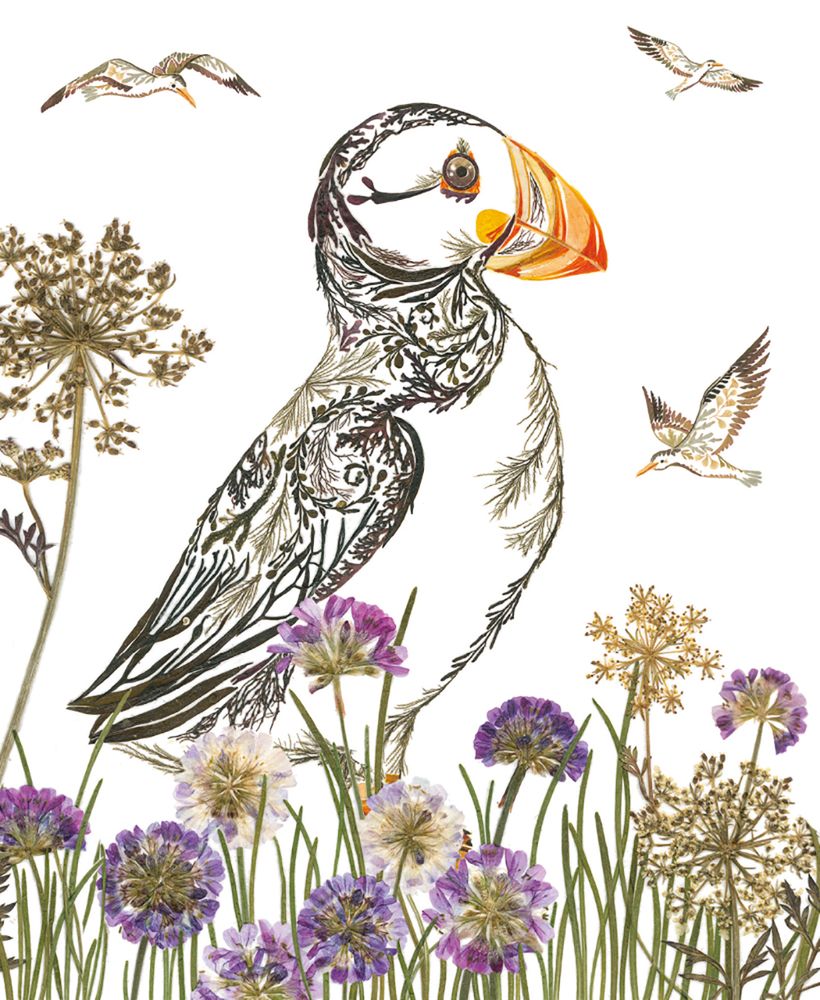 Helen Ahpornsiri Proud Puffin Art Card