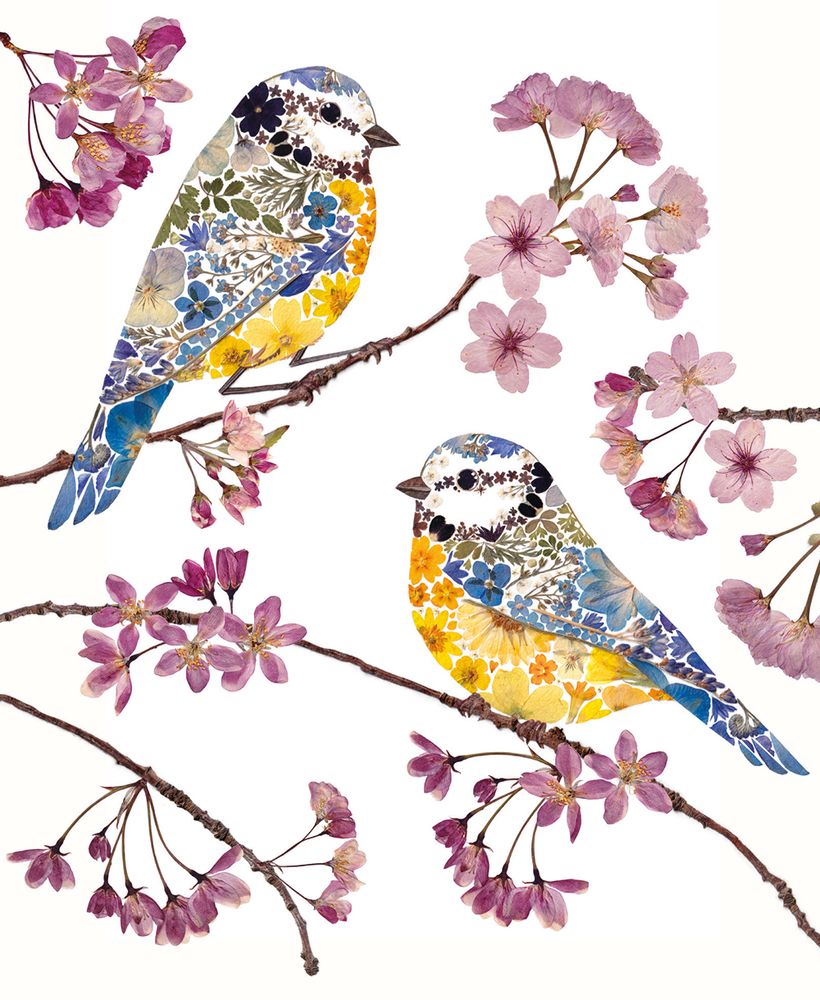 Helen Ahpornsiri Blue Tits and Blossom Art Card