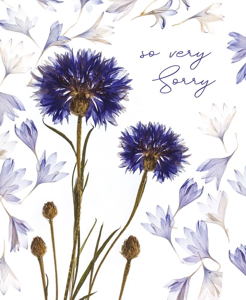 Helen Ahpornsiri Cornflower Cascade Sympathy Card