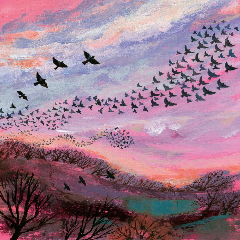 Lucy Grossmith Red Sky at Night Art Card