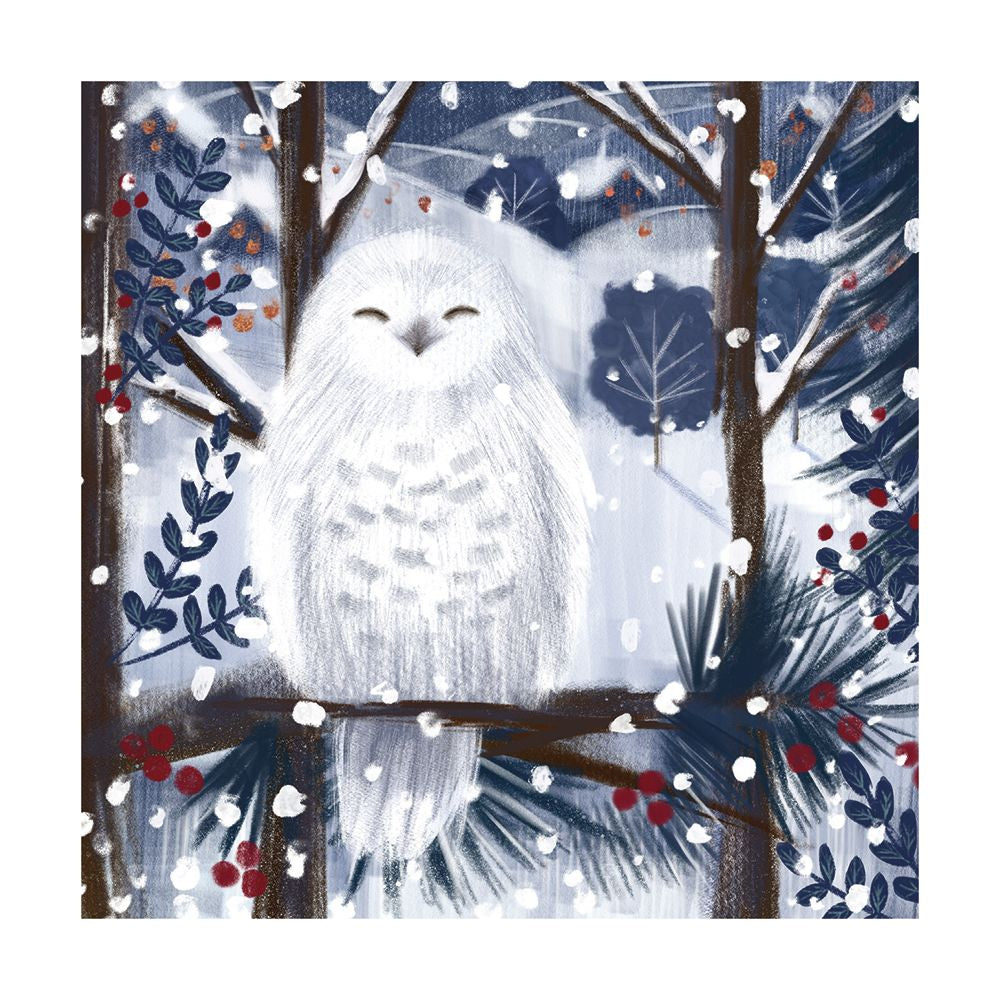 Catherine Worsley Snowy Owl Christmas Card Pack