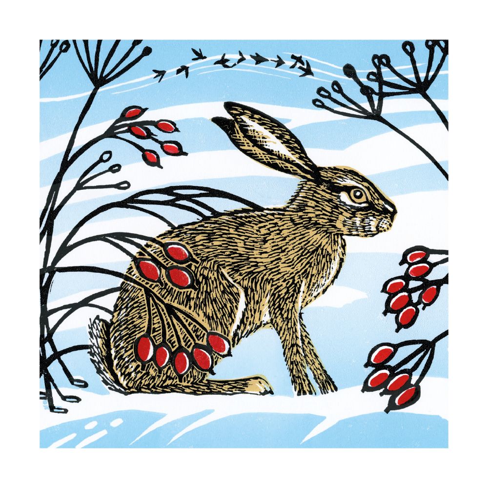 Denise Coble Snow Hare Christmas Card Pack