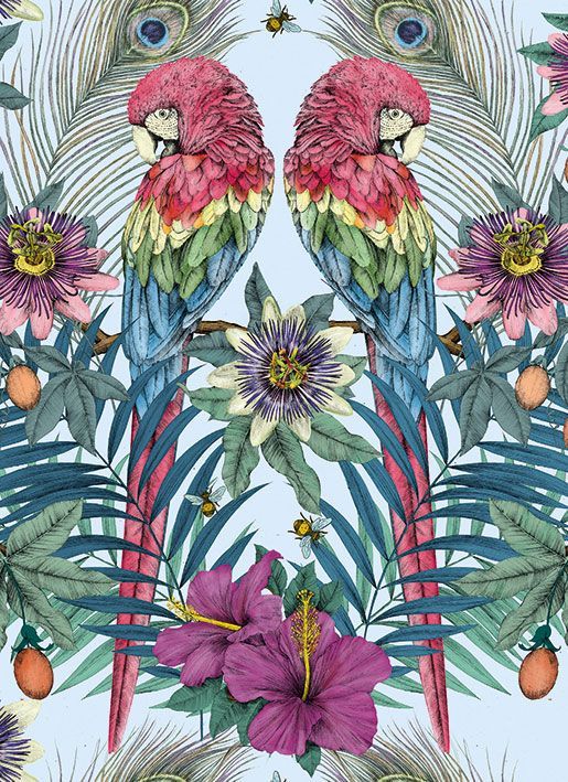 Matthew Williamson Ventura Art Card