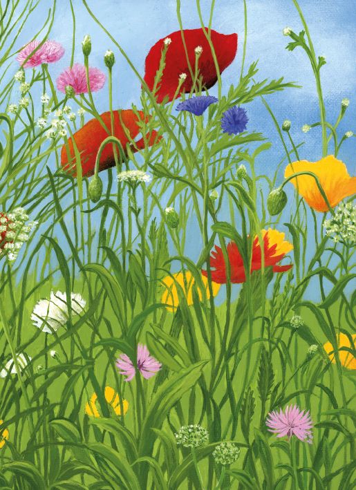 Josephine Simon Summer Along the Riverbank Art Card