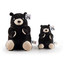 Bear Plush Teddy - Small – view 4