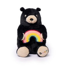 Small Plush Rainbow Bear
