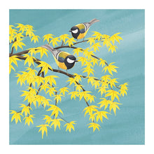 Blue Tits on Tree Branch Richmond Park Card