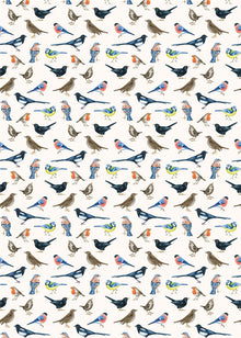 British Birds Roll Wrap