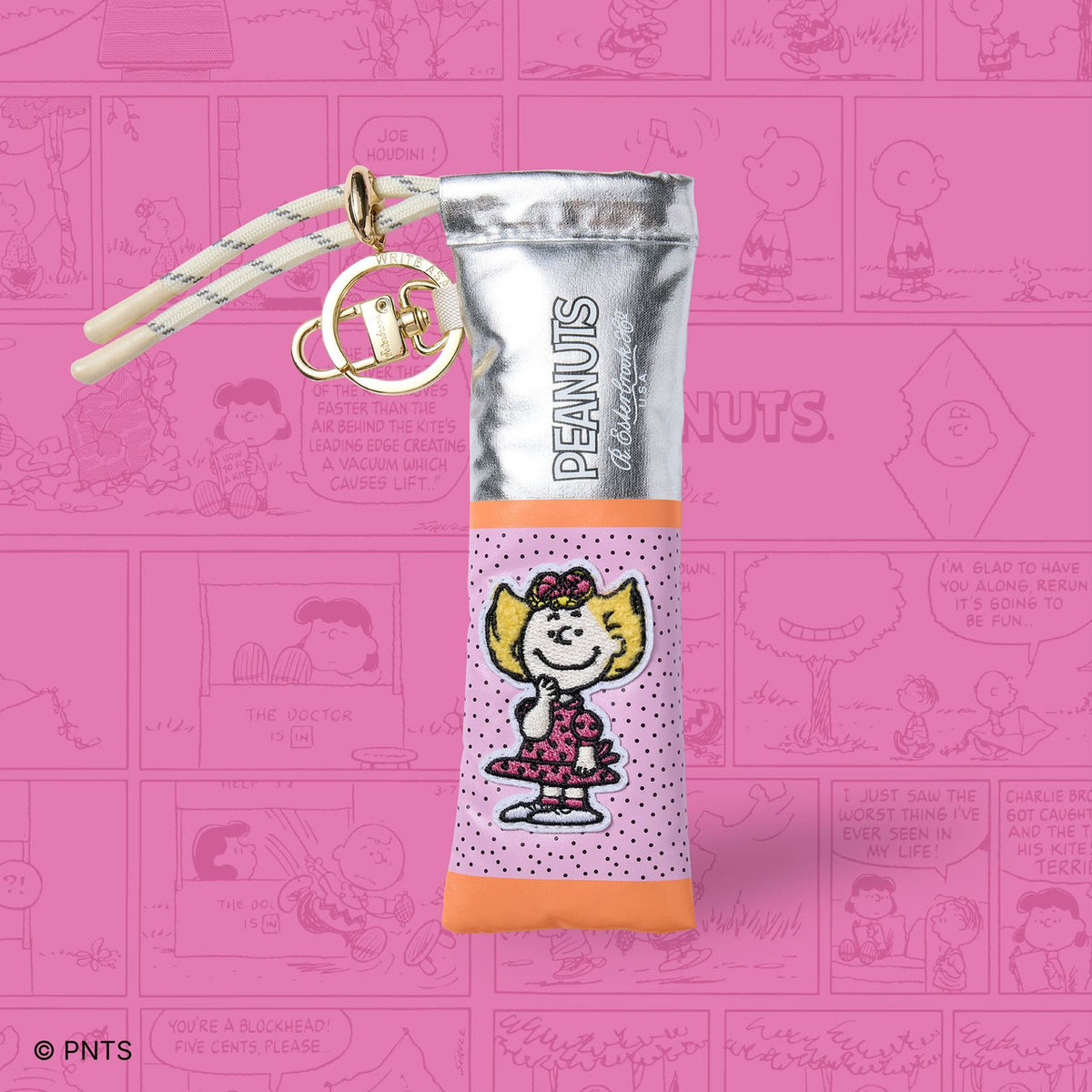 Peanuts pen case