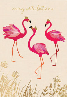 Congratulations Sara Miller Card