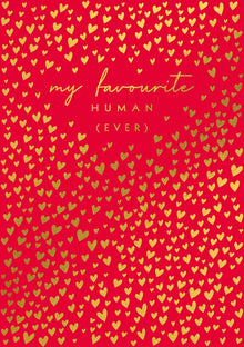 Favourite Human (Ever) Valentine's Day Card