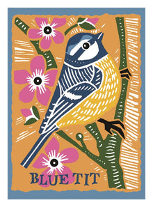 Blue Tit Songbird Card
