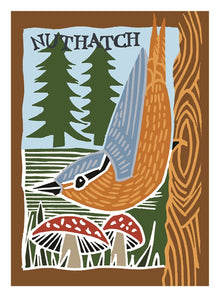Nuthatch Songbird Card
