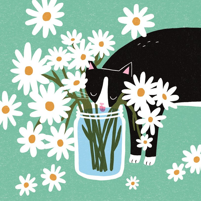 Drinking Water Sunpatch Cats Card